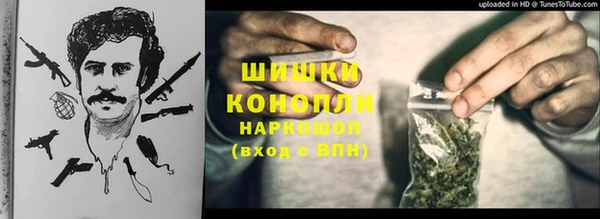 гашик Алексеевка