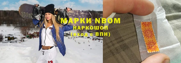 гашик Алексеевка